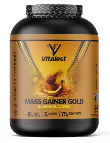 Mass Gainer 2400G. Karbonhidrat Tozu 24 Servis