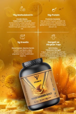 Mass Gainer 2400G. Karbonhidrat Tozu 24 Servis MUZ