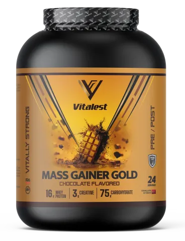 Mass Gainer 2400G. Karbonhidrat Tozu 24 Servis ÇİKOLATA