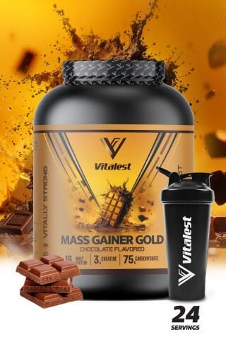 Mass Gainer 2400G. Karbonhidrat Tozu 24 Servis ÇİKOLATA