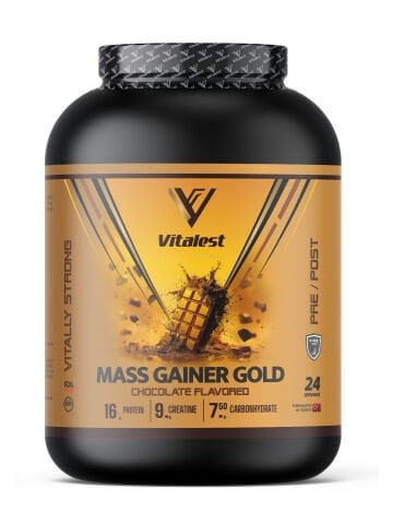 VİTALEST MASS GAINER 2400GR ÇİKOLATA
