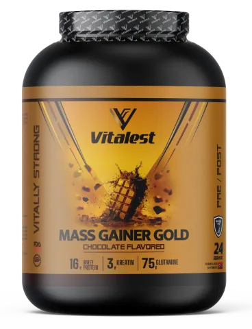 VİTALEST MASS GAINER 2400GR ÇİKOLATA