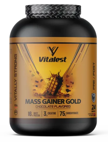 VİTALEST MASS GAINER 2400GR ÇİKOLATA